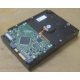 Жесткий диск HP 250Gb 7200 rpm 432337-001/ 399699-001 / 397377-004 (Лосино-Петровский)