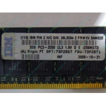 IBM 73P2871 73P2867 2Gb (2048Mb) DDR2 ECC Reg memory (Лосино-Петровский)