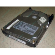 Жесткий диск 18.4Gb Quantum Atlas 10K III U160 SCSI 80 pin (Лосино-Петровский)