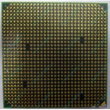 Процессор AMD Athlon 64300+ (1.8GHz) ADA3000IAA4CN s.AM2 (Лосино-Петровский)