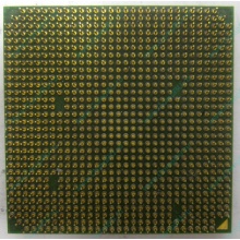 Процессор AMD Sempron 3000+ (1.6GHz) SDA3000IAA3CN s.AM2 (Лосино-Петровский)